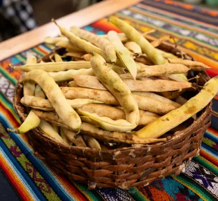 Frijoles 