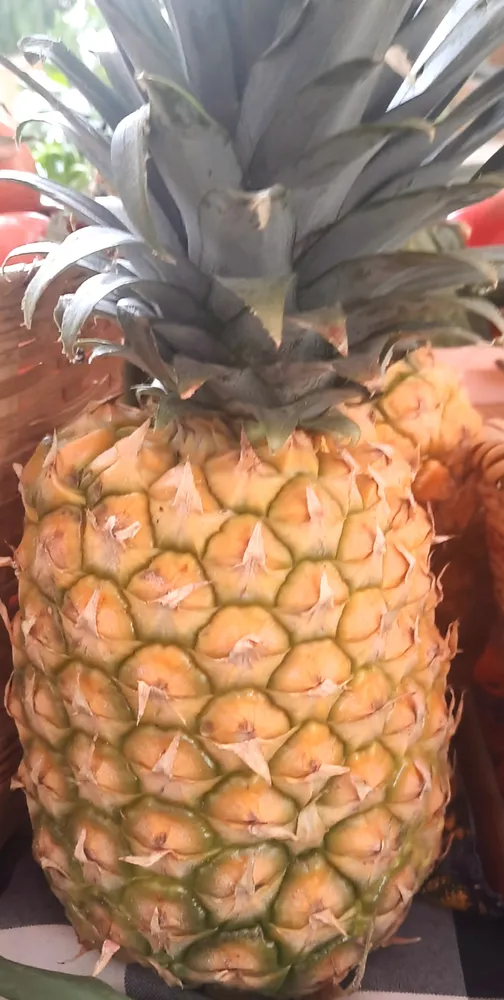 Piña 