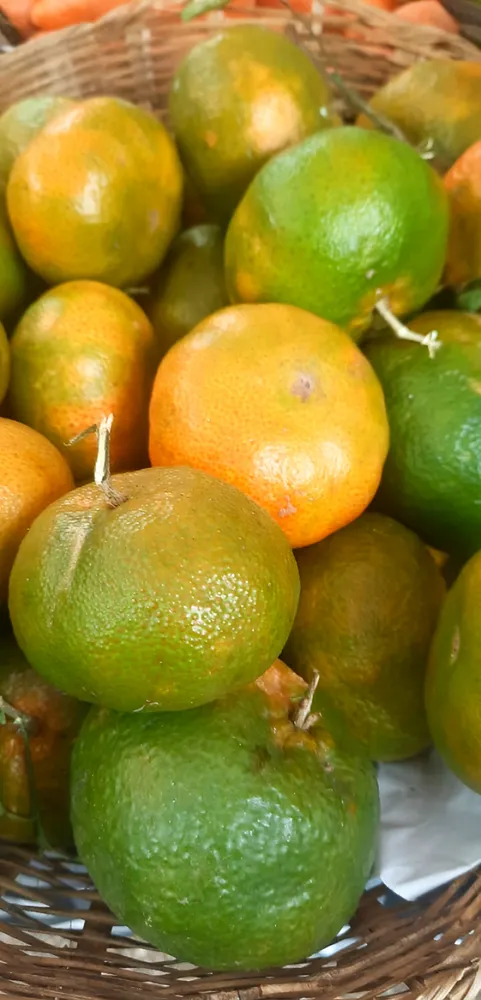 Mandarina 