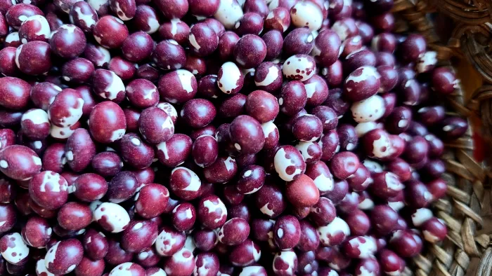 Frijoles 