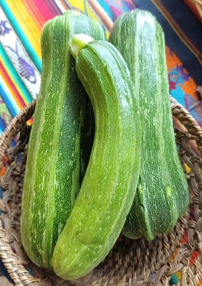 Calabacín Verde y Amarillo 2