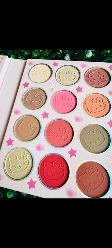 Paleta de sombras Kitty desplegable 117 colores 4