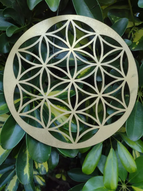 Flor de la Vida | Geometría sagrada.