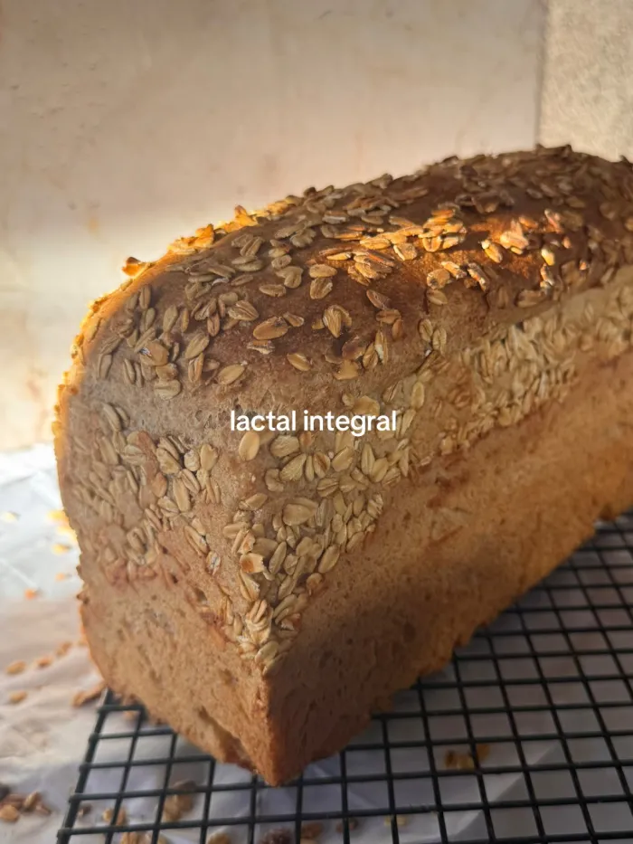 Lactal integral XXL 