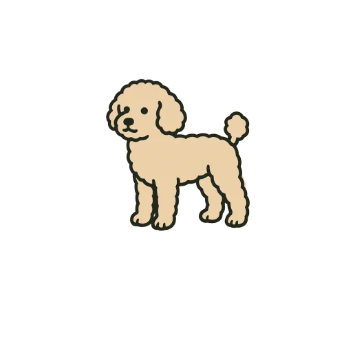 Logo de Randall Store