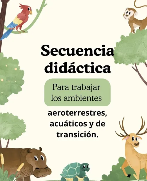 Secuencia de Los Ambientes 