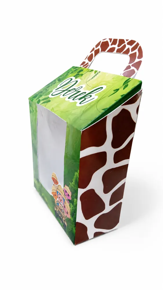 Caja Visor 2