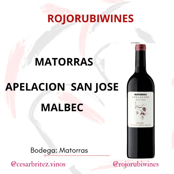 MATORRAS APELACION SAN JOSE 