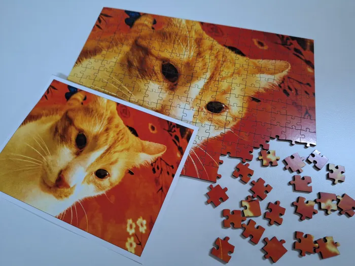 Rompecabezas 23x31 Con 252 piezas caja madera 2