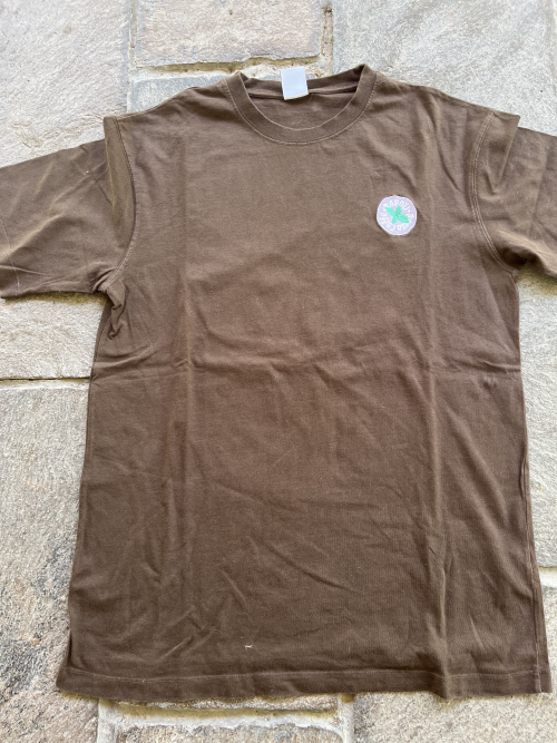 Remera estampada (ZARA)