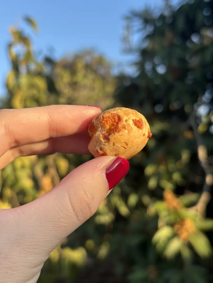 CHIPA SNACK 