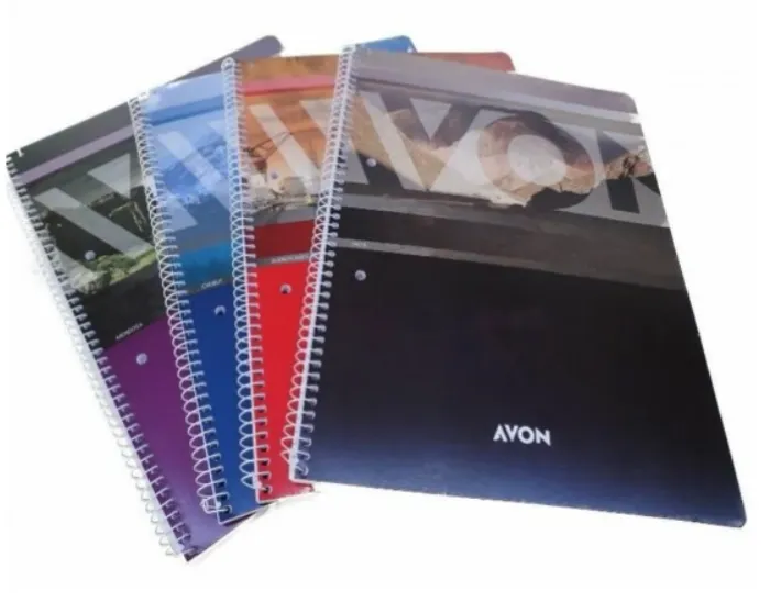 Cuadernos universitarios