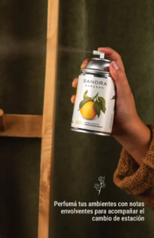 Aerosol Linea Hogar 270ml 2