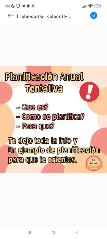 Planificacion anual tentativa 