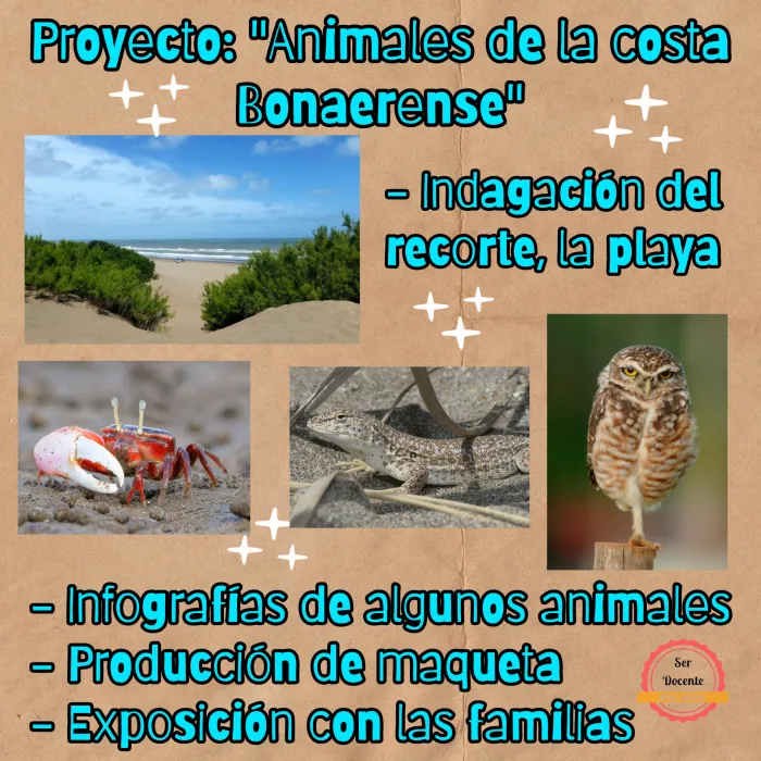 Proyecto: "Animales de la costa Bonaerense'"