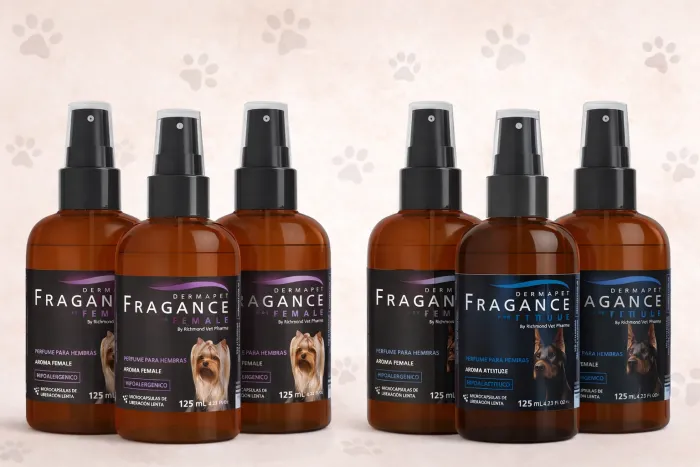 Perfume para 🩵ELLOS🩵 2