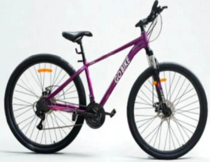 LACAR I Rodado 29 Aluminio  2