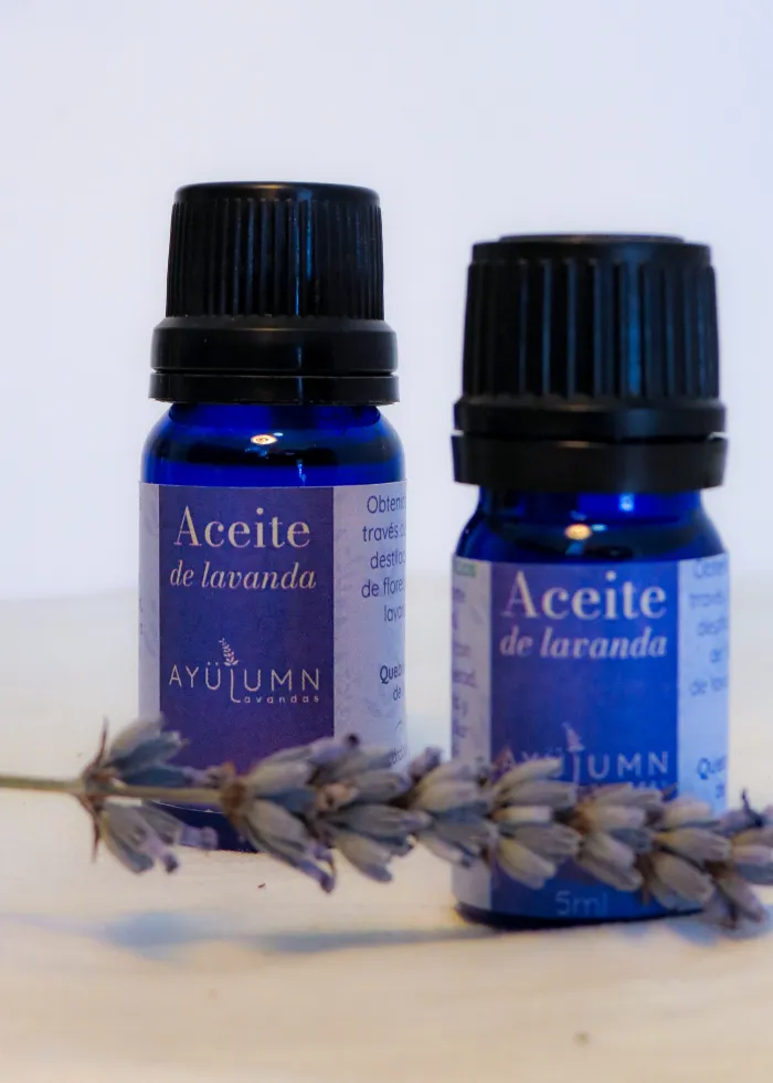 Productos de nuestro Campo