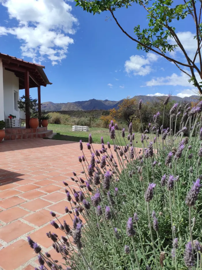 Paseo de la Vida – Entrada Libre