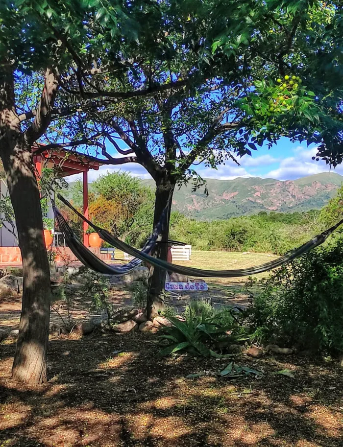 Paseo de la Vida – Entrada Libre 2