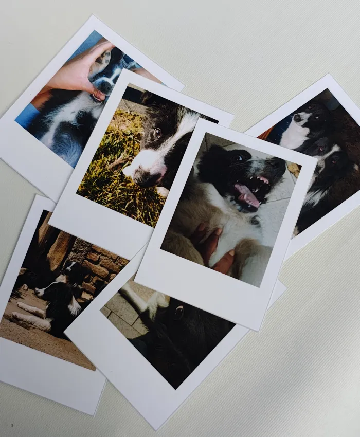 MINI POLAROID x16u