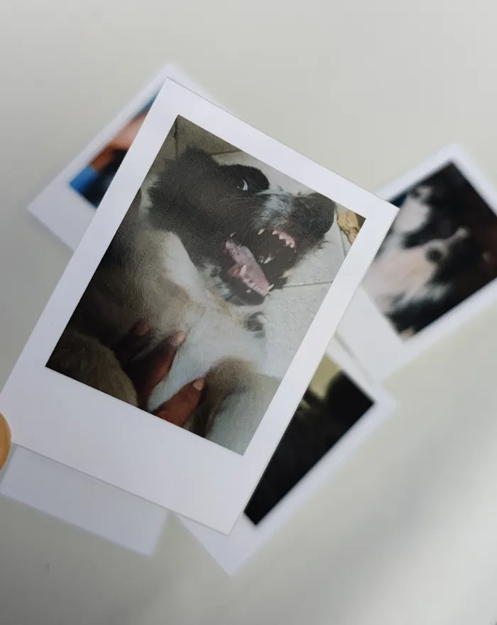 MINI POLAROID x16u 2