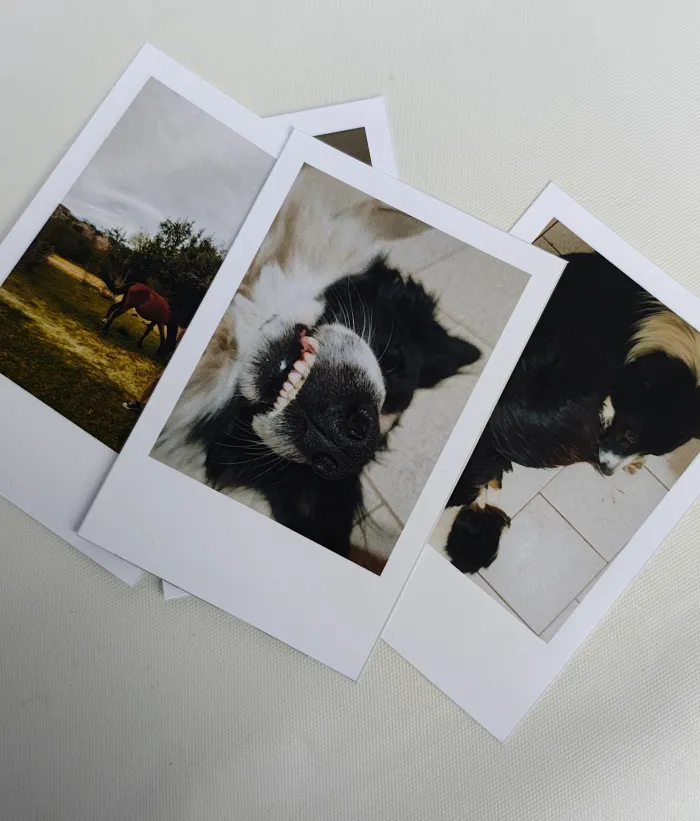 POLAROID ESTÁNDAR x9u