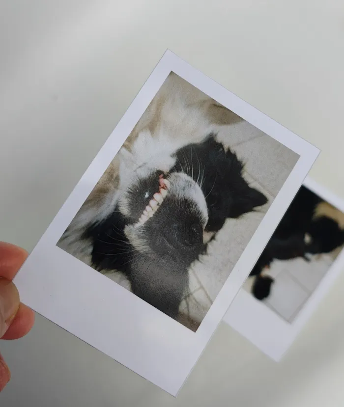 POLAROID ESTÁNDAR x9u 2