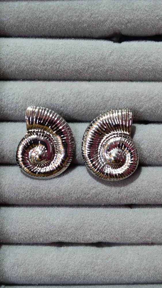 Aros ammonites