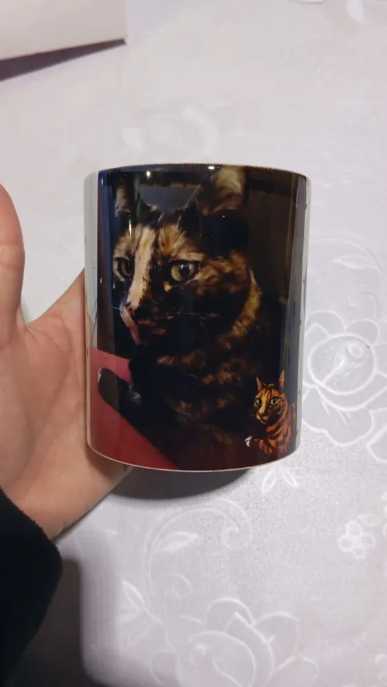 Tazas